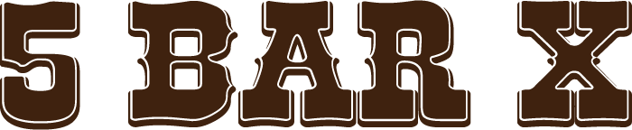 5 Bar X Logo